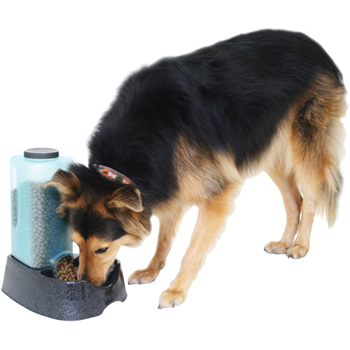 dog food buying guide